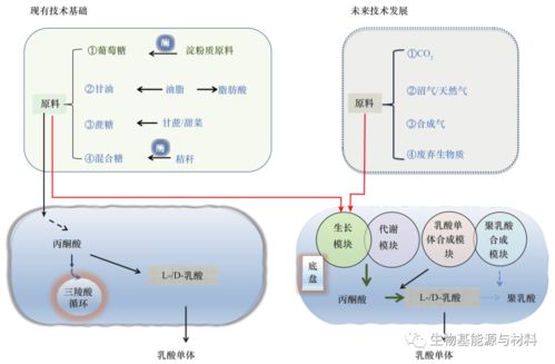 我國聚乳酸產業發展現狀與對策研究