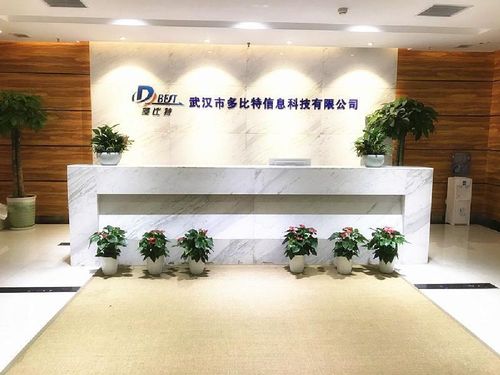 武漢 崛起中的中國互聯網與軟件產業新星